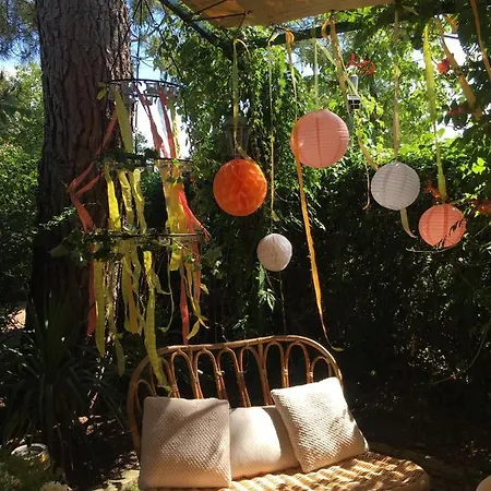Hotel O´lodge 3*